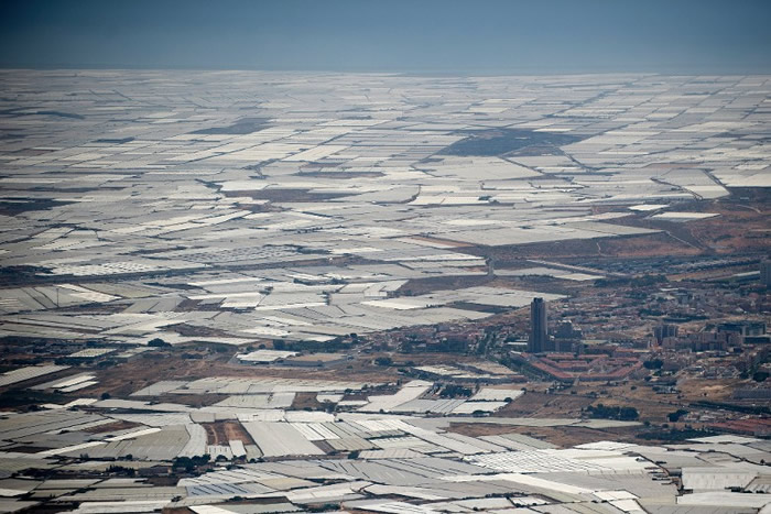 阿梅里亚省东南部有一大片温室。