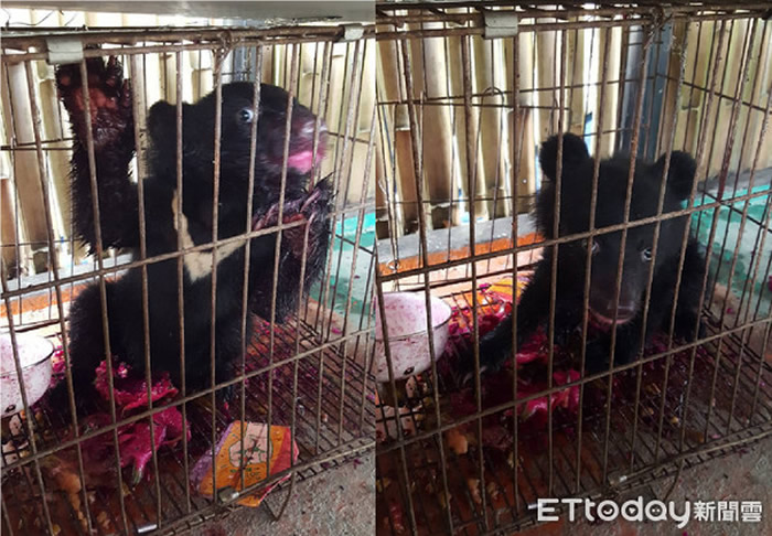 ̨��С���������ԭ��������ֻ��׷�� ���������