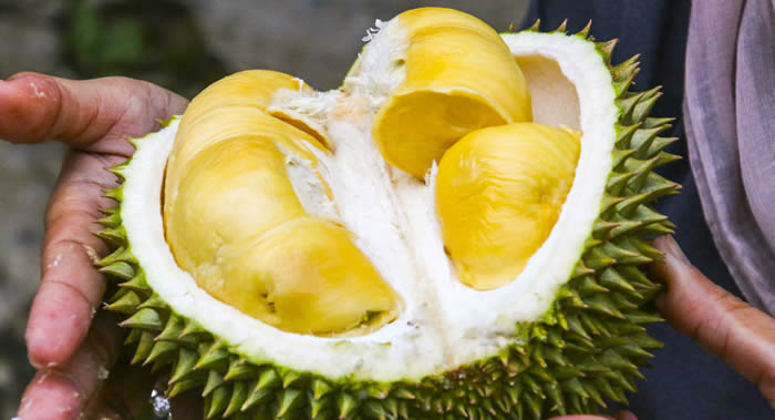 �����о���������Ƥ��ȡ��������Ԥ����ǻ���� ���������ڳ�