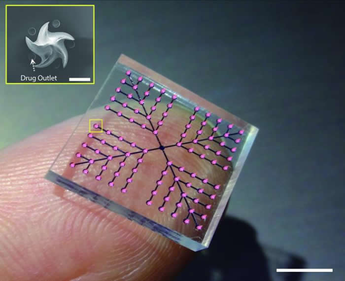 用类似蛇类毒牙样微针片快速给予啮齿类动物液体药物