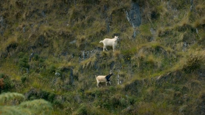 Ӣ֪ӽĿ˸ǡķڼ¼ƬɱҰɽ