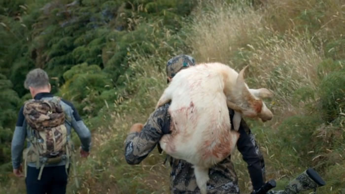 Ӣ֪ӽĿ˸ǡķڼ¼ƬɱҰɽ