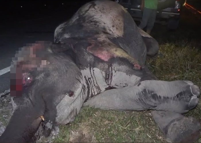 Ƕūݹҹ԰ΣҰϺٹ·ʱײ