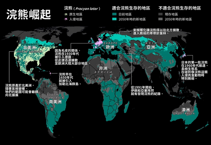 入侵者浣熊正随着气候变迁不断朝新的地区扩张