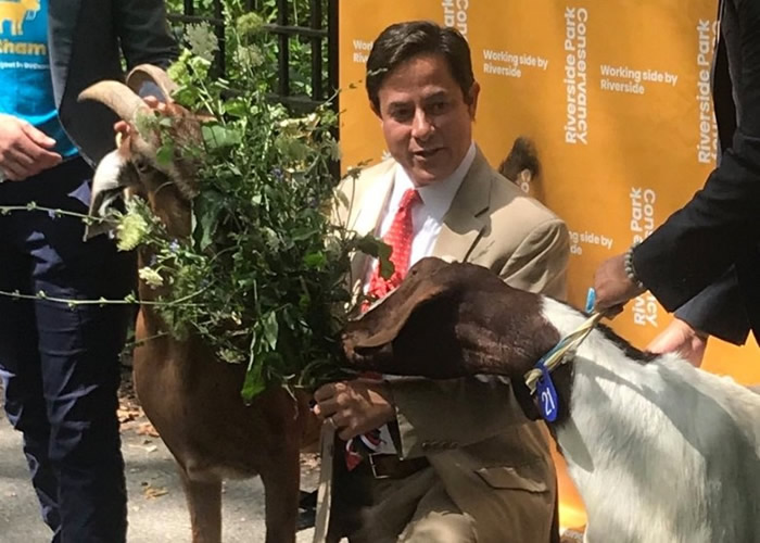 亚军得主(图右)偷吃梅西(图左)的奖品。