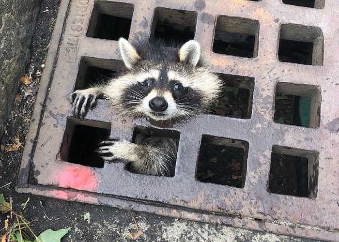 �����������������ͷ�������ǿ�ס ����Ա�����ȳ�