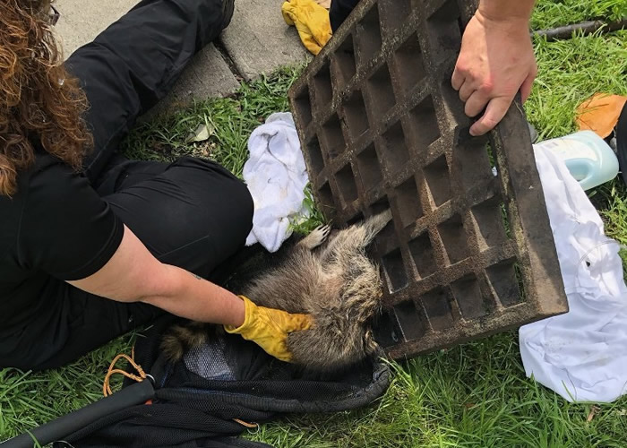 �����������������ͷ�������ǿ�ס ����Ա�����ȳ�