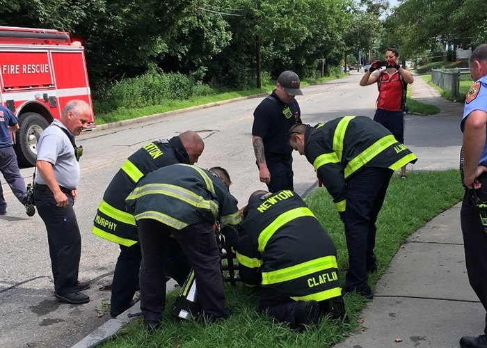 �����������������ͷ�������ǿ�ס ����Ա�����ȳ�