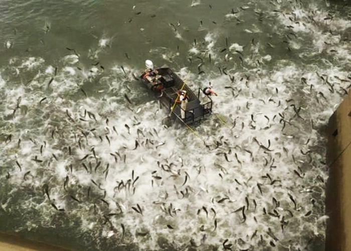 �������������������������֡��㡱��Ϊ�� �����ɡ����������׽����̬