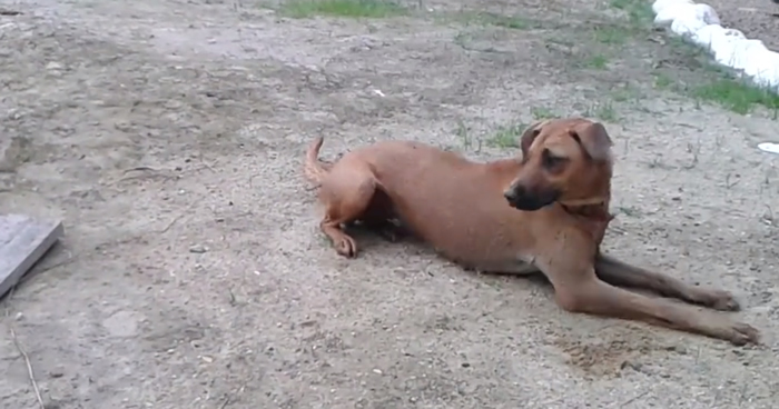 װˮ СPrincesaȻˮԮ