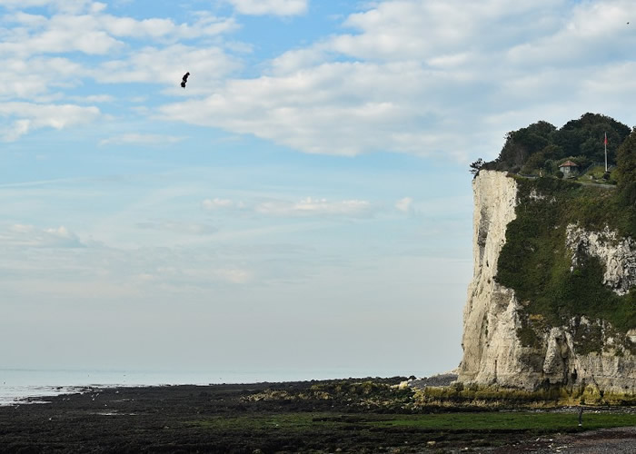 法国发明家萨帕塔无惧首飞失败堕海 乘飞天滑板飞越英伦海峡抵达英国