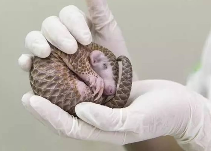 �л���ɽ�����������½� ������ҵ�����ǿִ������