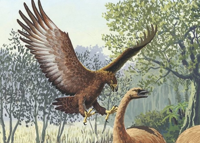 ����û����б�þ޴�