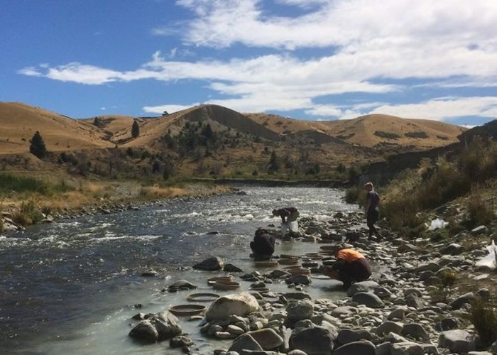 ��������Զ������֮�硣