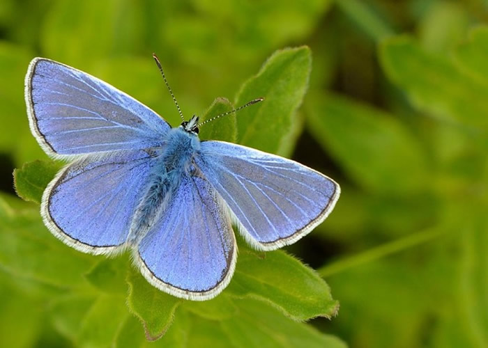 �������ϵ����������ǿգ��ò���Ȼ��