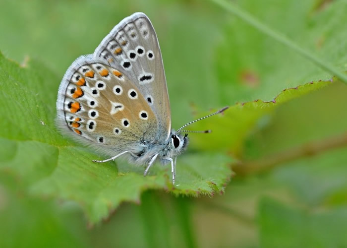 �������������������ģ���̬��ǧ��