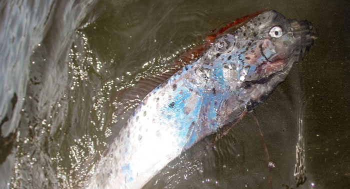 ��ů�ķ�ѹ��Ϊ����˹�����߽�����������ϡ�лʴ���