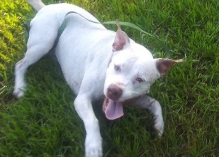 ������������ݱ���Ȯ���Ͻ�ˮ�гɵ��� 3.3�׳���������