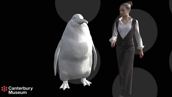 ���������������С�Ĺ�����ʱ�ھ�����컯ʯ