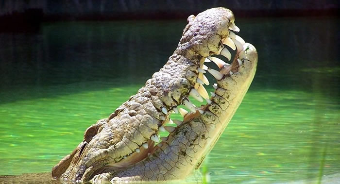 ���ɱ�������ʡʮ���к��ڴ��ϱ�������������