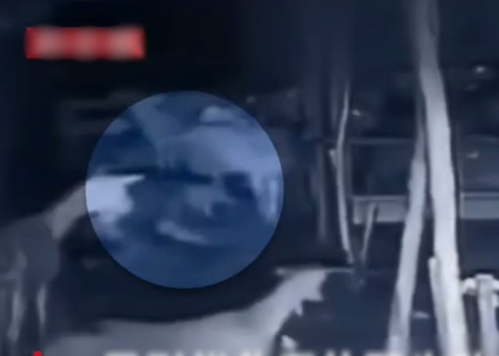 �����������������ԡ�