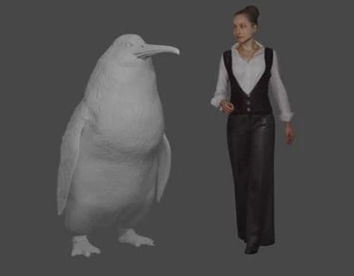 �������ϵ��������߸������˲��ľ���Զ����캡�ǻ�ʯ