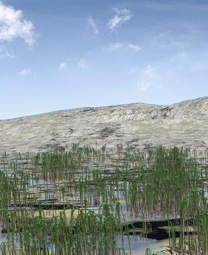 如插图所示,新杭森林中的矮小树种可能生活在邻近海岸的沼泽环境之中。 IMAGE BY DEMING WANG