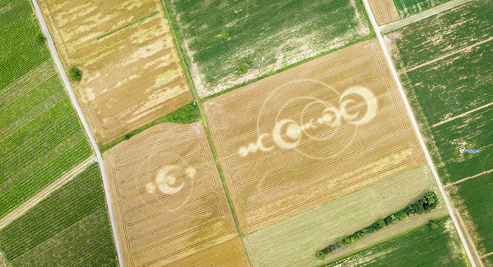 科学家揭秘麦田怪圈之谜:不是外星人造访 大多数怪圈是地球的产物