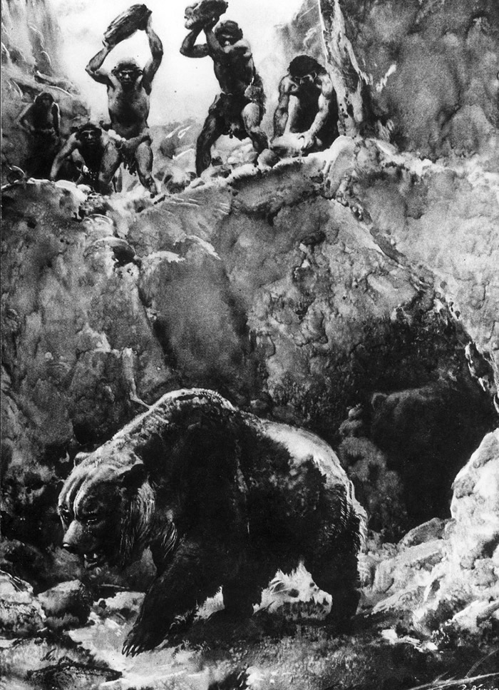 洞熊灭绝原因新说:或是人类大规模猎杀所致