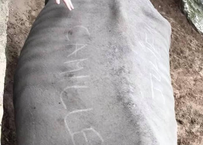 ����³���Palmyre������԰һֻϬţ�������οͿ������֡�Camille���͡�Julien��