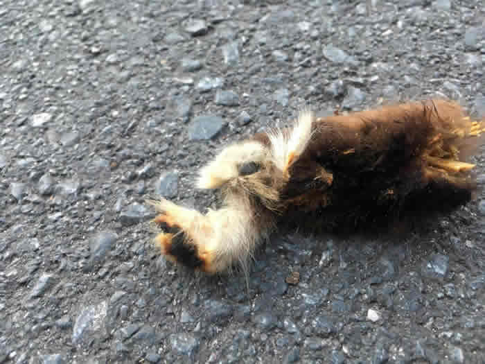 Ӣ����Ÿ�����Ժ���߼����� 1�º���ж����տ�����