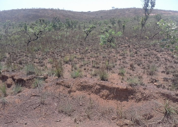 中非安哥拉和刚果民主共和国多地同时发生大火 火场数字较亚马逊森林多近5倍