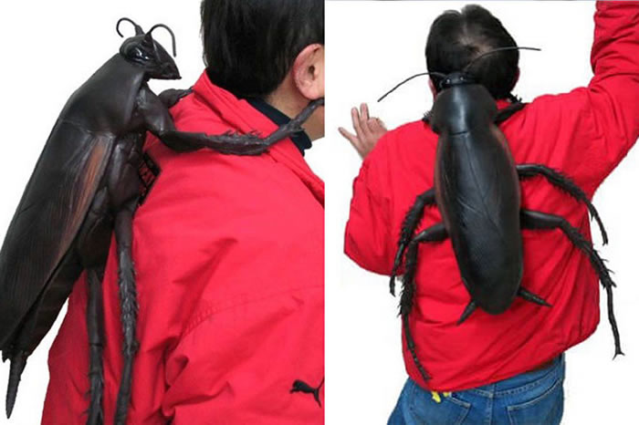 ������ڲ�ͬ�ı������������ϼܣ���������΢���û��ļ������ۡ�������û�����ʾ�ǳ���������Ǿ���