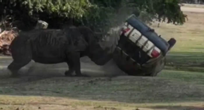 �¹����׸ǵٶ���԰Ϭţ�������ᡱ�����Ź���Ա������Ū������