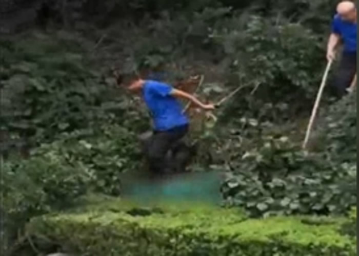 ��������ɭ�ֶ���԰Ұ��⵱�������ԱŰ������ ʬ�屻����