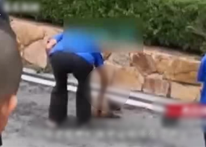 ��������ɭ�ֶ���԰Ұ��⵱�������ԱŰ������ ʬ�屻����