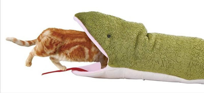 日本推特疯传宠物玩具:整只猫遭蟒蛇生吞表情竟十分愉悦