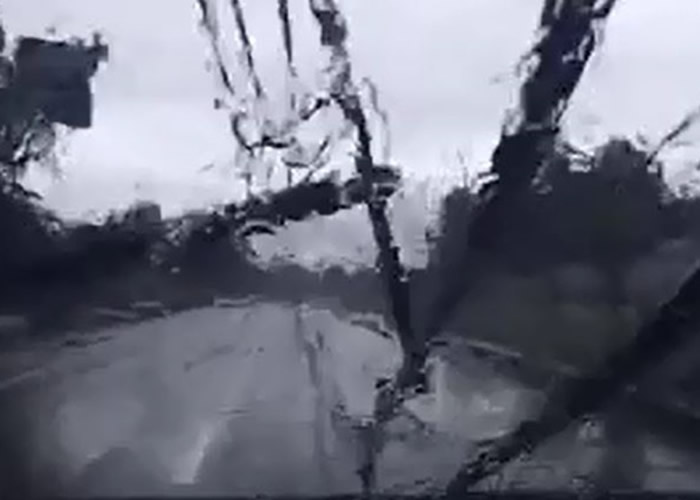 泰国南部喀比府强风吹倒12条电线杆 行车记录仪录下女司机险逃一劫片段