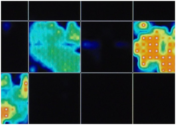 ����֯���Է��Է����Ե粨����������Ĵ��Ի���ơ�