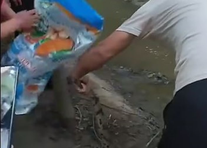 河北保定清苑区北王力村村民灌溉时“浇出”鳄鱼 疑放生后跑到农田