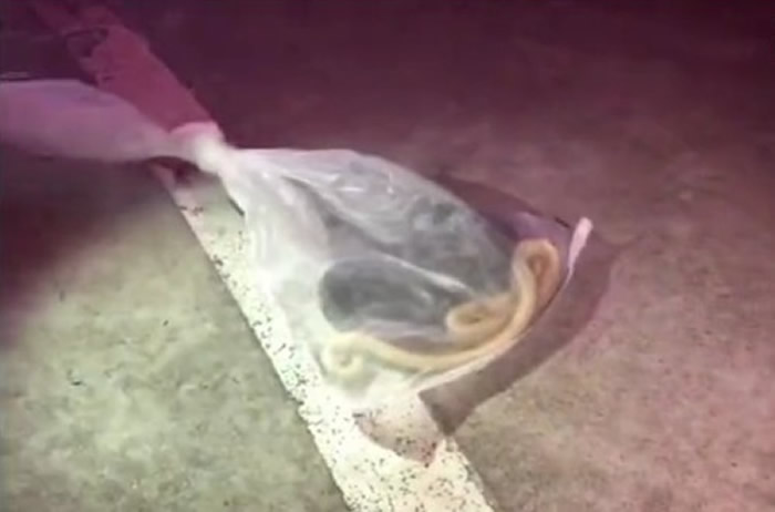 �Ĵ�ʡ��֦�����۾����߱�������Ա��׽���³������� ���������ٶȰ������߸����¶�