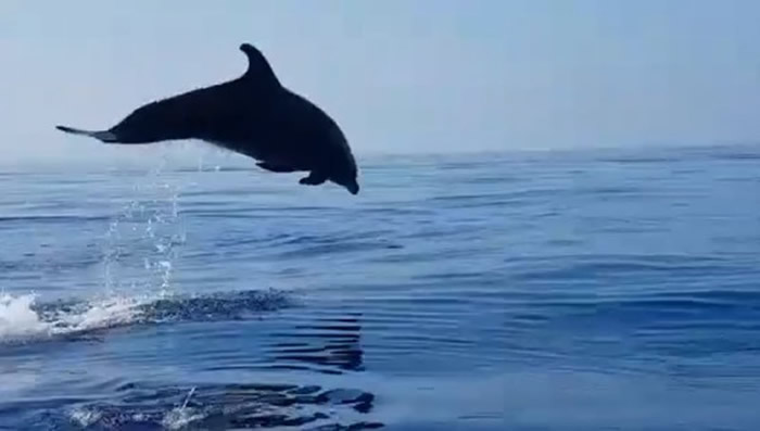 ౦ס 費ͣں淭Ծл