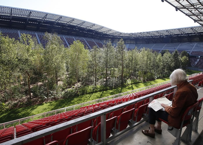 沃尔特湖足球场长出森林。