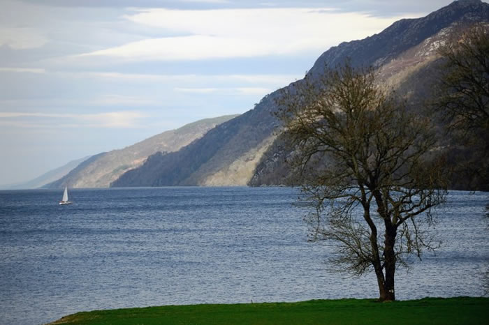 尼斯湖水怪之谜解开?eDNA分析显示可能是巨型鳗鱼