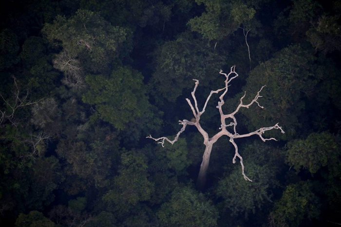 ����ѷ��������ȫ����20%����������ѧ��ָ̫���߹��� ����ֻ���㸽���ǻ�