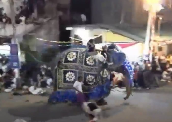 ˹�������׶������·��ʢ�ᡰ�����ڡ���������Ⱥ���ſ� 18������