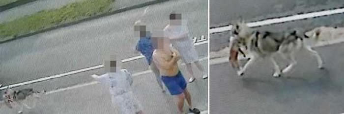 ӢӴéйʿ洳ҧ Źʬܵ