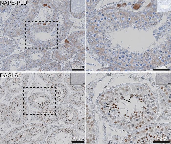 ��Դ�Դ�����ϵͳ��ECS������ֱ�Ӳ�������غ�����������