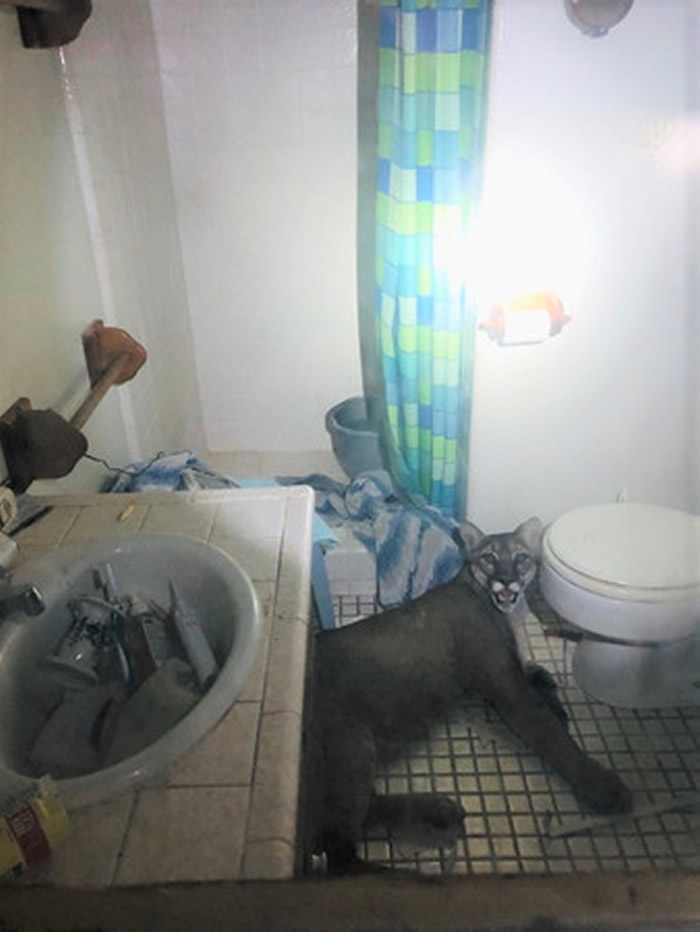 ���ڴ����죡�������ݷ��޾�������ʨ��ԡ��