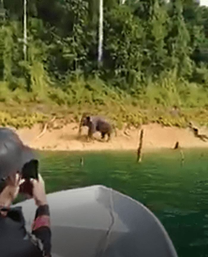 ǵǼ¥ݵĿݺˮ֣ԭǴӾ